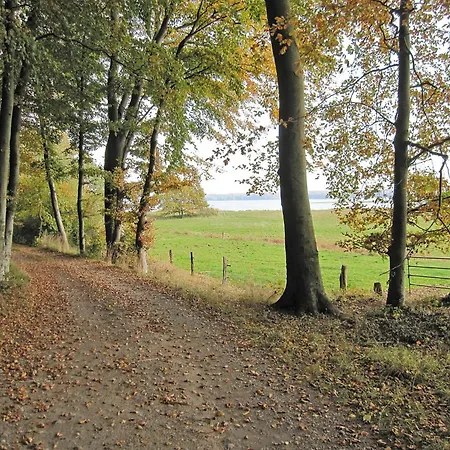 Bienenhaus Holiday home Ulsnis